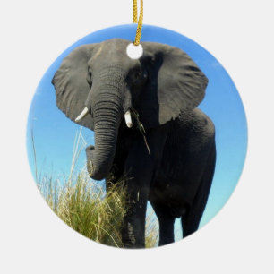 Ornamento del elefante africano