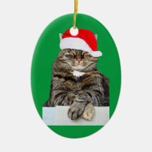 Ornamento del festival de humor de gatos Navidades