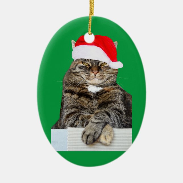 Ornamento del festival de humor de gatos Navidades (Frente)