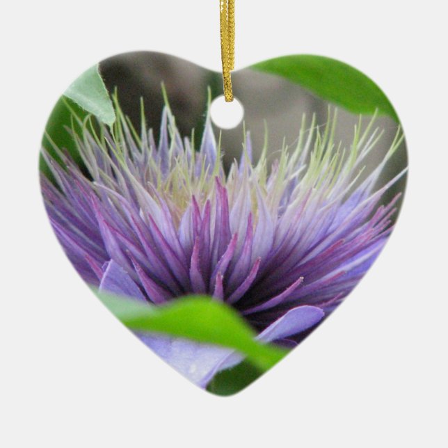 Ornamento del flor de la flor del Clematis (Frente)