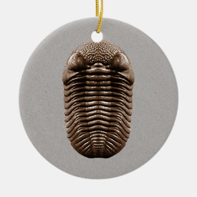 Ornamento del fósil de Trilobite (Frente)