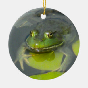 Ornamento del Froggy