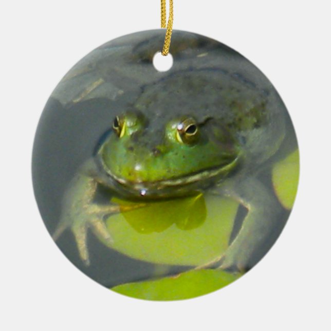 Ornamento del Froggy (Frente)