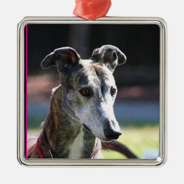 Ornamento del galgo (Frente)