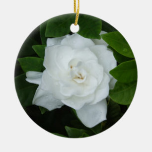 Ornamento del Gardenia