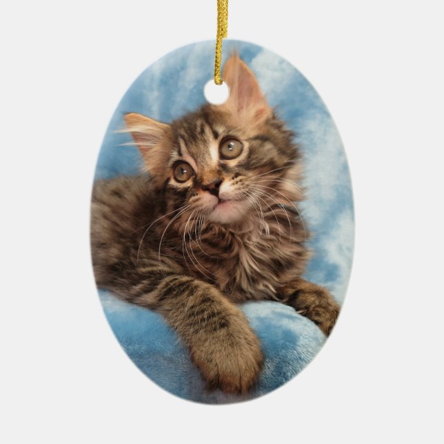 Ornamento del gatito del Coon de Maine (Frente)