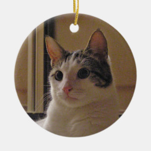 Ornamento del gato