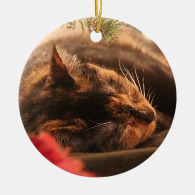Ornamento del gato de calicó del navidad (Frente)