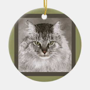 Ornamento del gato de Coon de Maine - "MERLIN "
