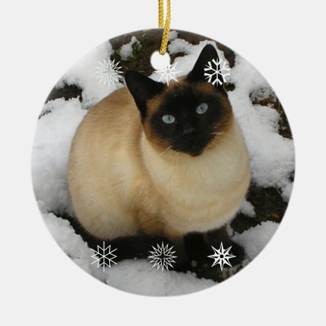 Ornamento del gato de la nieve (Frente)