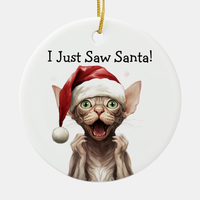 Ornamento del gato de los navidades (Frente)