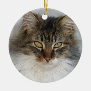 Ornamento del gato de Tabby