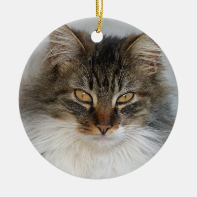 Ornamento del gato de Tabby (Frente)