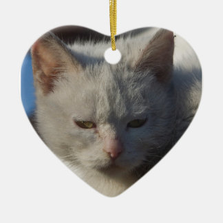 Ornamento del gato del amor