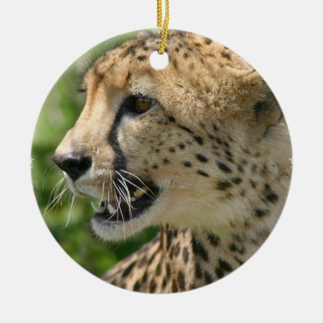 Ornamento del gato del guepardo (Frente)