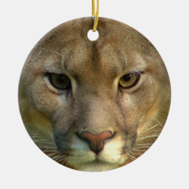 Ornamento del gato del puma (Frente)