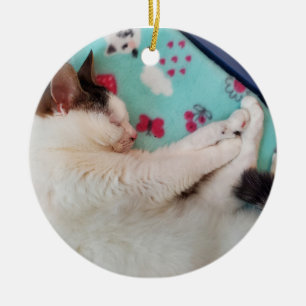 Ornamento del gato durmiente