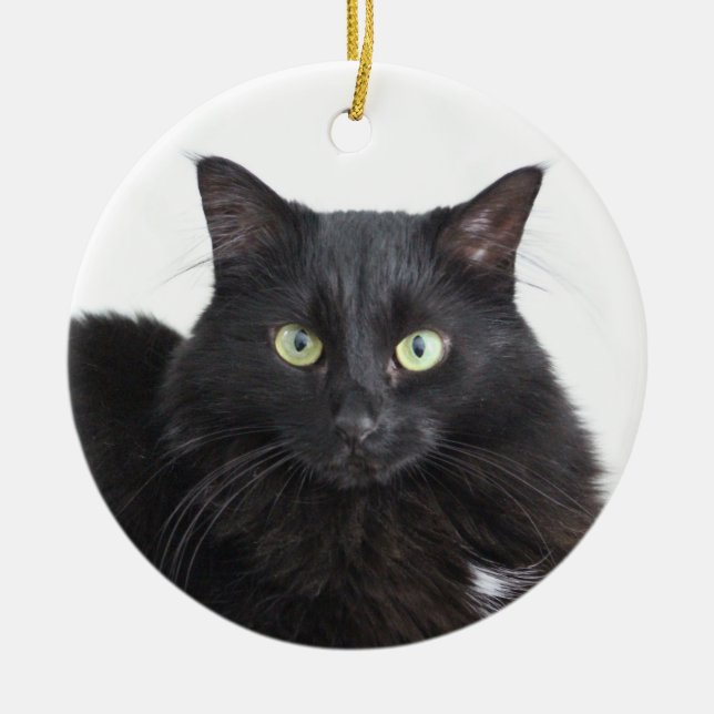 Ornamento del gato negro (Frente)