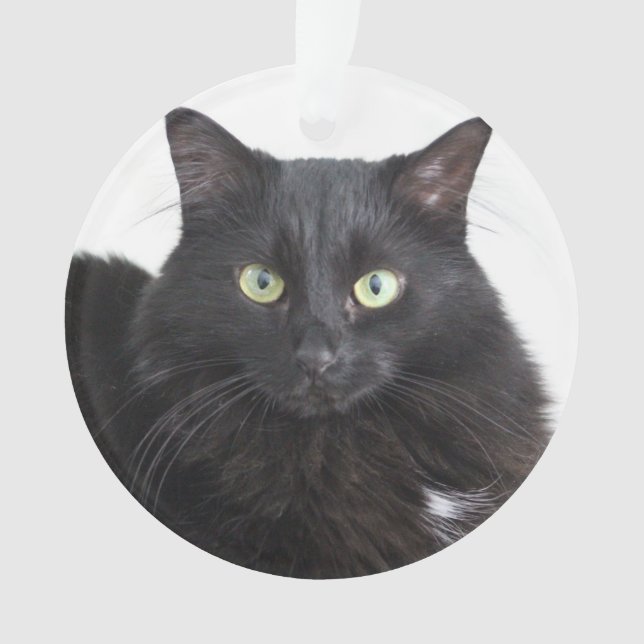 Ornamento del gato negro (Anverso)