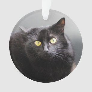 Ornamento del gato negro