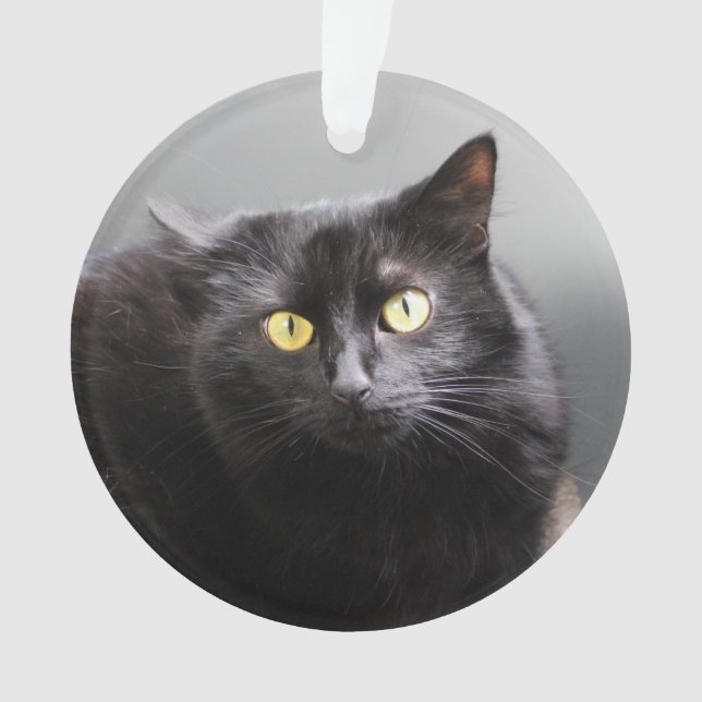 Ornamento del gato negro (Anverso)