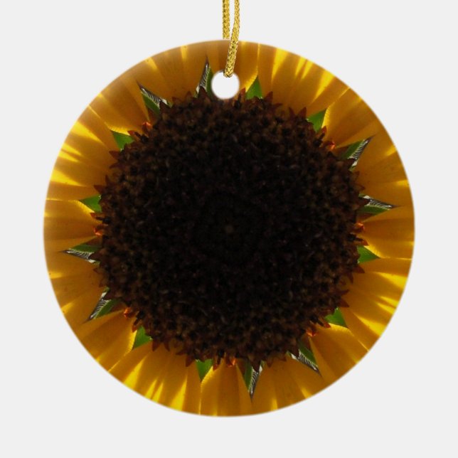 Ornamento del girasol (Frente)