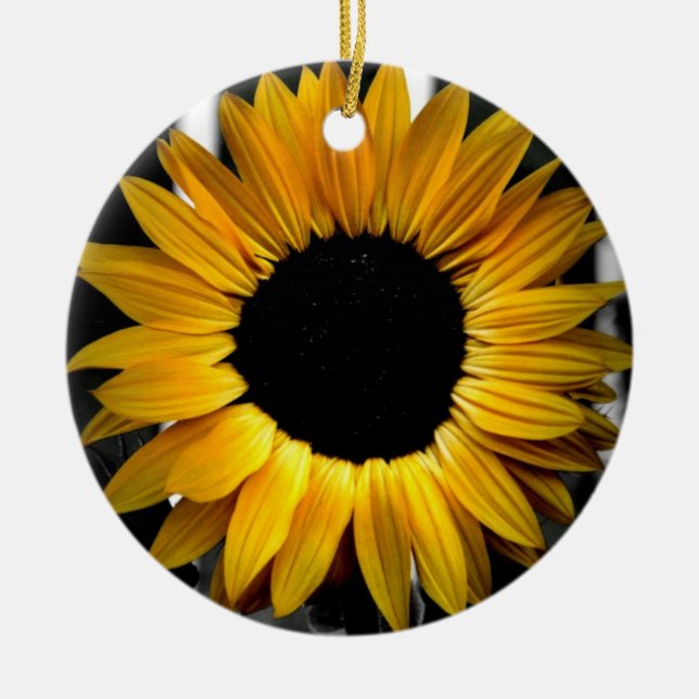 Ornamento del girasol (Frente)