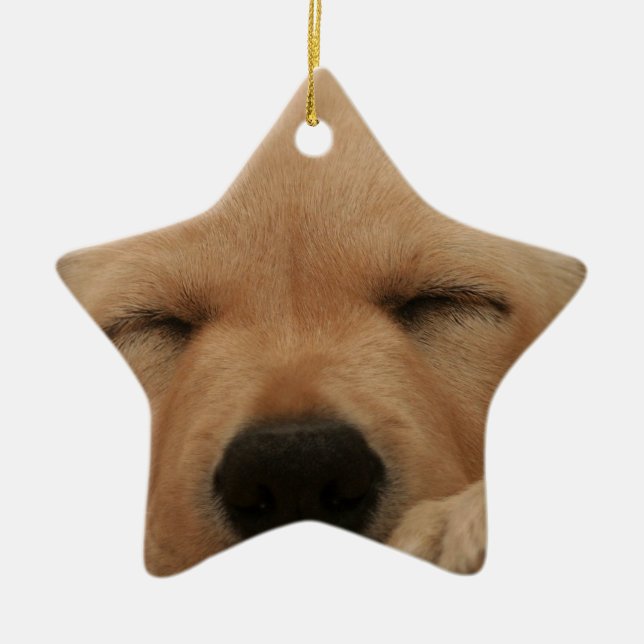 Ornamento del golden retriever el dormir (Frente)