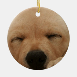 Ornamento del golden retriever el dormir