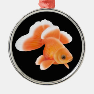 Ornamento del Goldfish de la cola de milano de