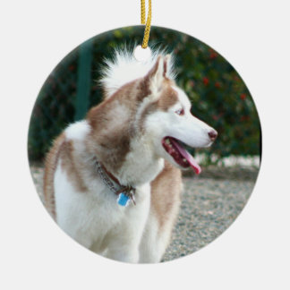Ornamento del husky siberiano