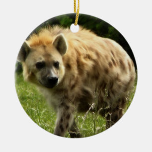 Ornamento del Hyena