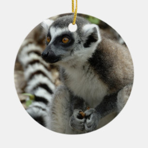 Ornamento del Lemur