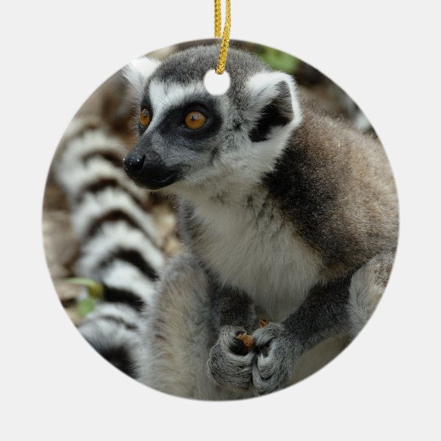 Ornamento del Lemur (Frente)