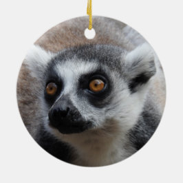 Ornamento del Lemur