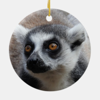 Ornamento del Lemur