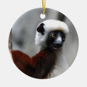 Ornamento del Lemur de Sifaka