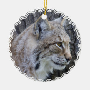 Ornamento del lince