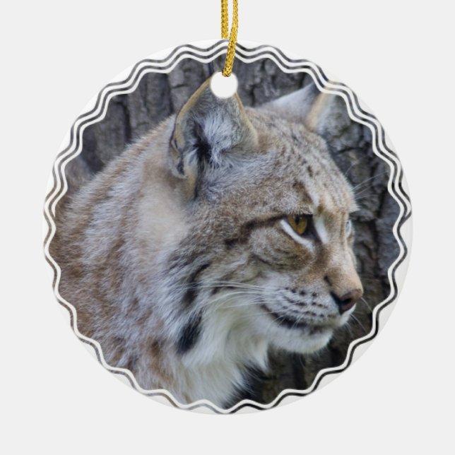 Ornamento del lince (Frente)