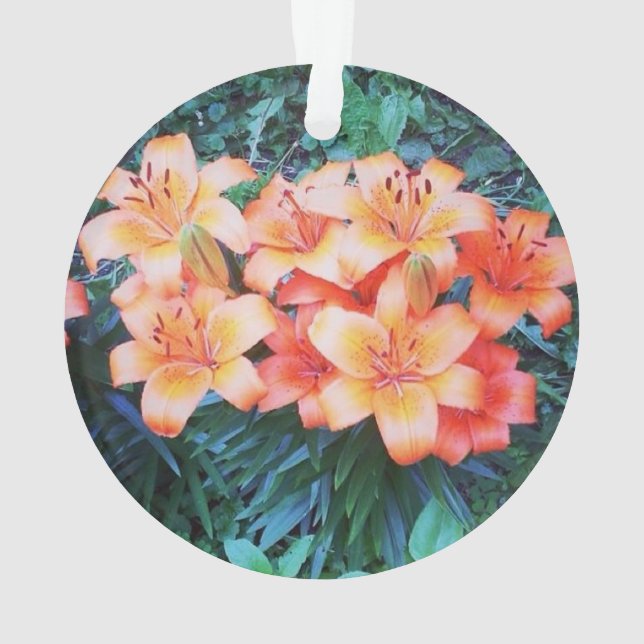 Ornamento del lirio tigrado (Reverso)