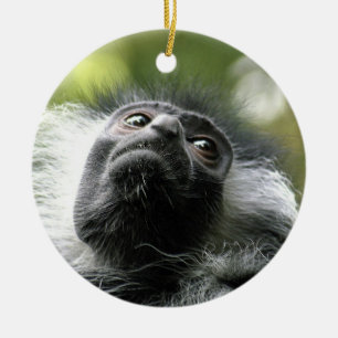 Ornamento del mono de Colobus de Rwanda