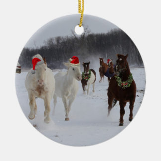 Ornamento del navidad