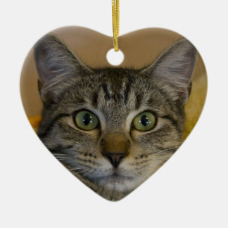 Ornamento del navidad: 1ra Navidad del gatito