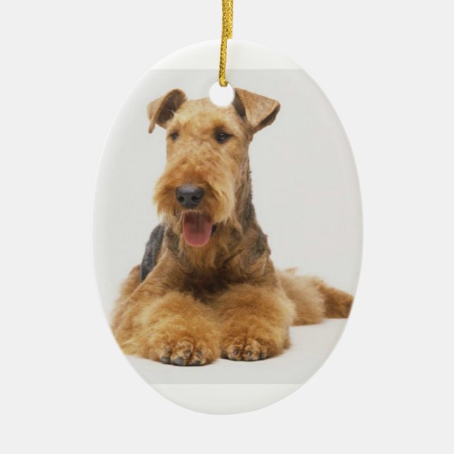 Ornamento del navidad de Airedale Terrier (Frente)