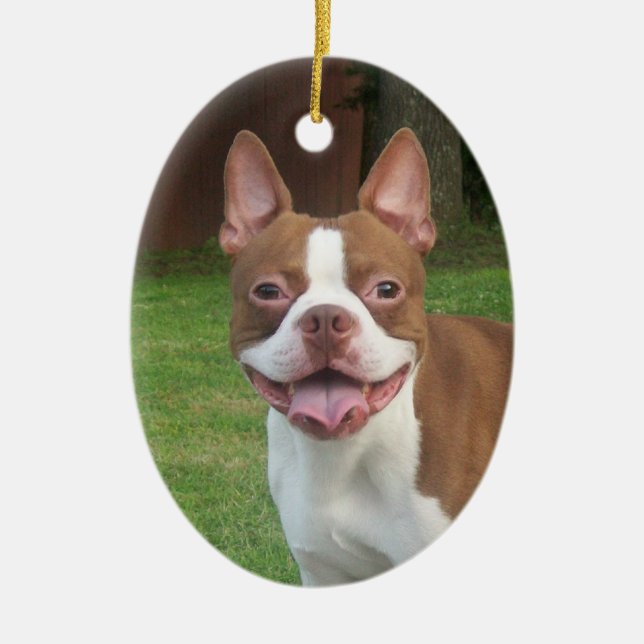 Ornamento del navidad de Boston Terrier (Frente)
