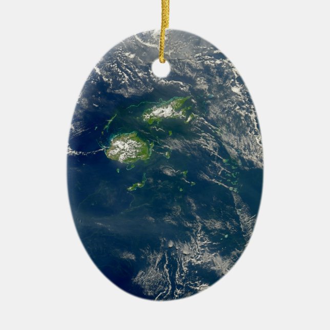 Ornamento del navidad de Fiji (Frente)