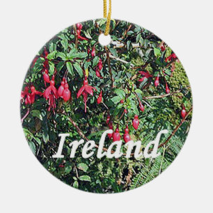 Ornamento del navidad de Fushia del irlandés, dú
