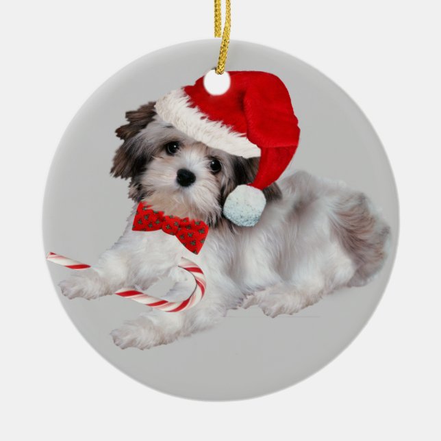 Ornamento del navidad de Havanese (Frente)