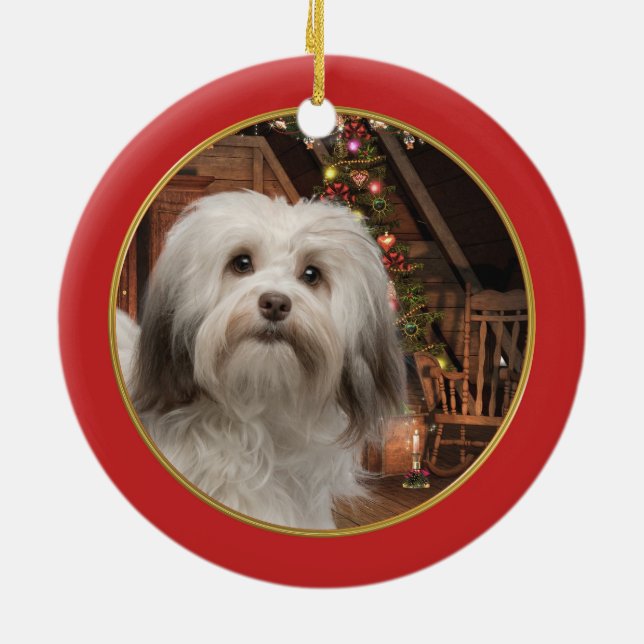 Ornamento del navidad de Havanese (Atrás)