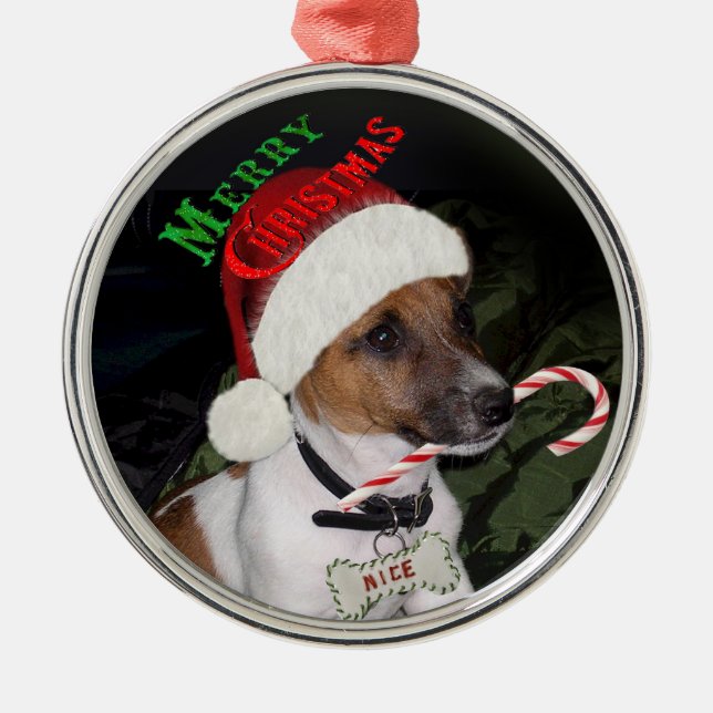 Ornamento del navidad de Jack Russell Terrier (Frente)